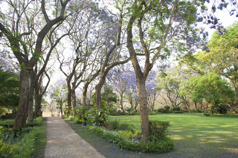 Nesbitt Castle Hotel Bulawayo Exterior foto
